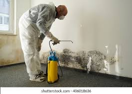 Best Water Damage & Mold Remediation  in Ranchos De Taos, NM